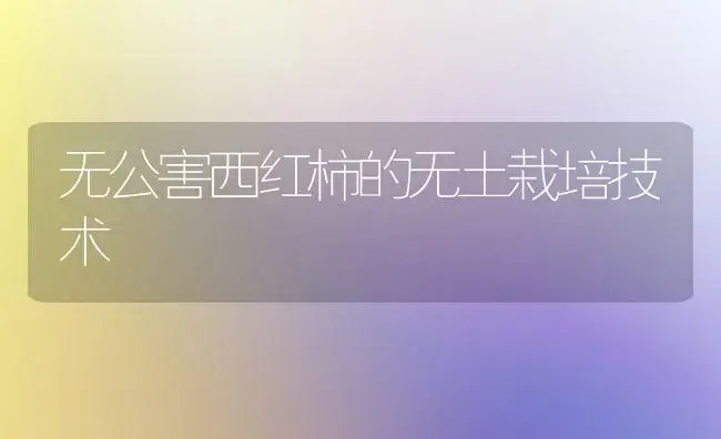 无公害西红柿的无土栽培技术 | 植物科普