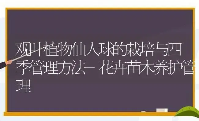 观叶植物仙人球的栽培与四季管理方法-花卉苗木养护管理 | 植物科普