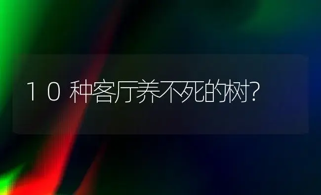 10种客厅养不死的树？ | 植物问答