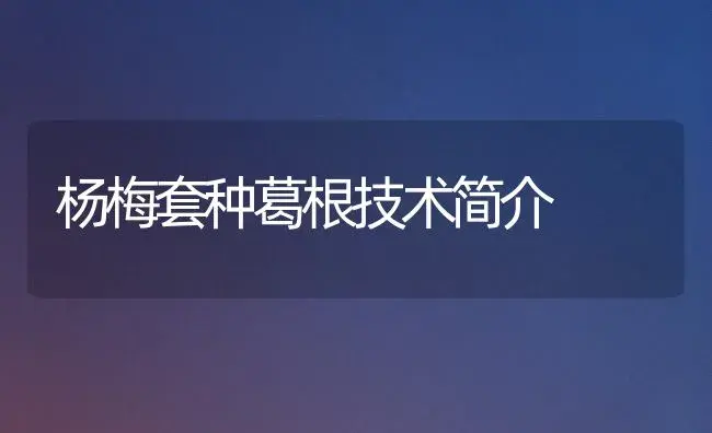 杨梅套种葛根技术简介 | 植物百科
