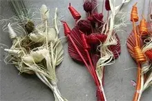 简易干花的制作与运用