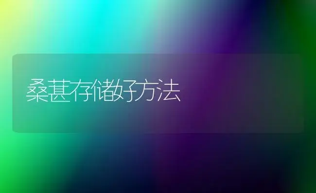 桑葚存储好方法 | 植物知识