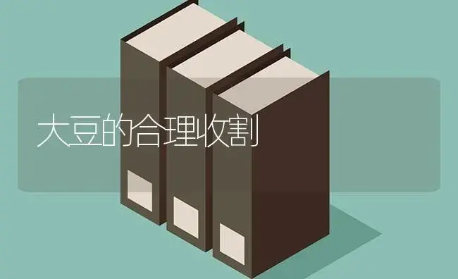 大豆的合理收割 | 植物科普