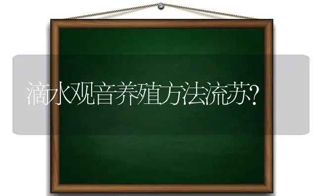 滴水观音养殖方法流苏？ | 植物问答