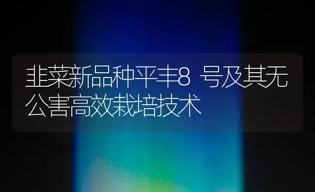 韭菜新品种平丰8号及其无公害高效栽培技术 | 植物百科