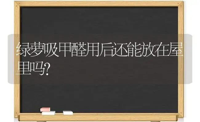 绿萝吸甲醛用后还能放在屋里吗？ | 植物问答