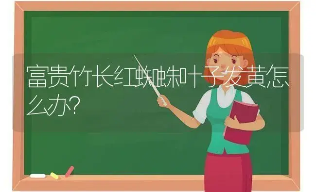 富贵竹长红蜘蛛叶子发黄怎么办？ | 植物问答