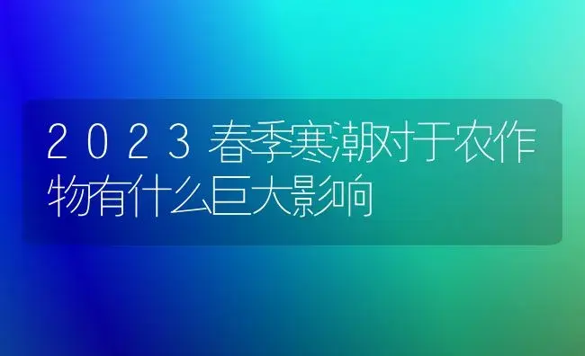 2023春季寒潮对于农作物有什么巨大影响 | 植物知识