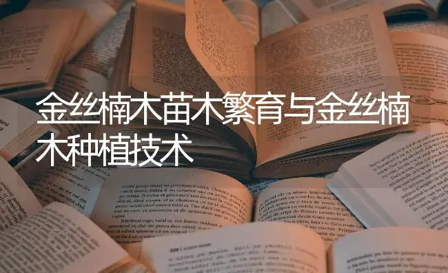 金丝楠木苗木繁育与金丝楠木种植技术 | 植物百科