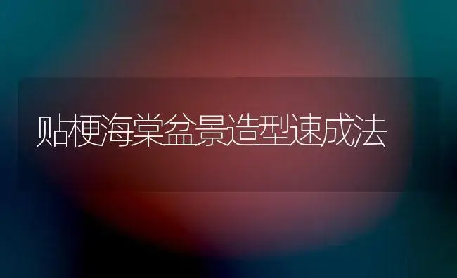 贴梗海棠盆景造型速成法 | 植物知识