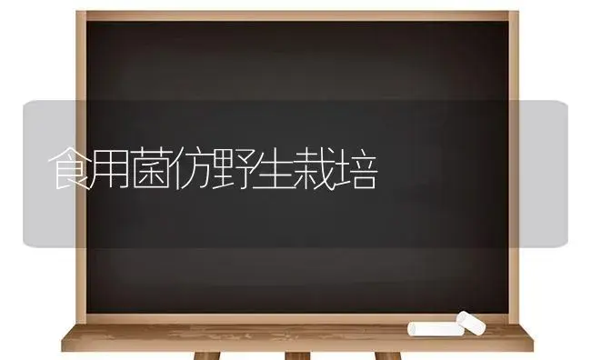 食用菌仿野生栽培 | 植物科普