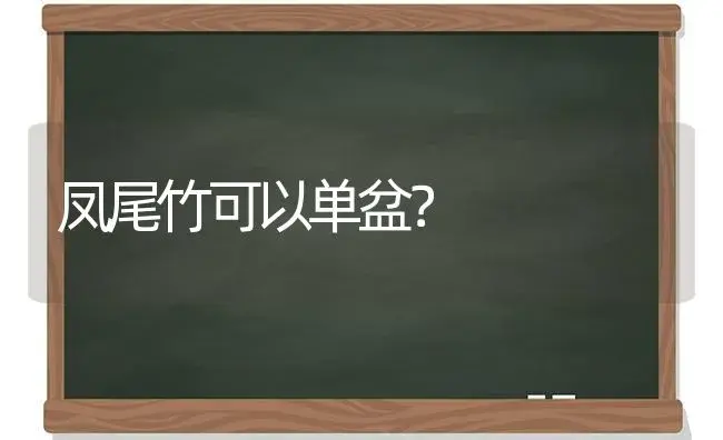 凤尾竹可以单盆？ | 植物问答