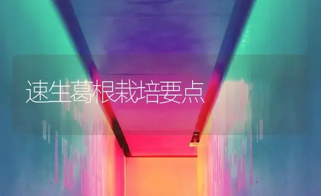 速生葛根栽培要点 | 植物百科
