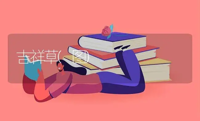 吉祥草(图) | 植物知识