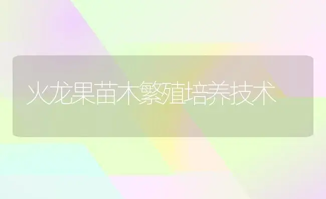 火龙果苗木繁殖培养技术 | 植物科普