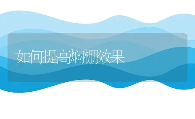 如何提高焖棚效果 | 植物科普