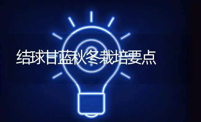 结球甘蓝秋冬栽培要点 | 植物百科