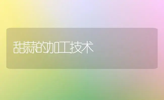 甜蒜的加工技术 | 植物百科