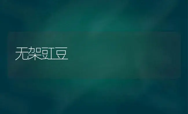 猕猴桃园地选择与建园技术 | 植物科普