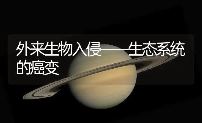 高温季节如何养护君子兰 | 植物知识