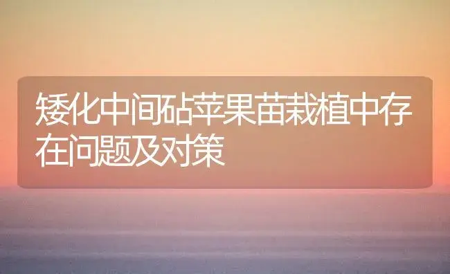 矮化中间砧苹果苗栽植中存在问题及对策 | 植物百科