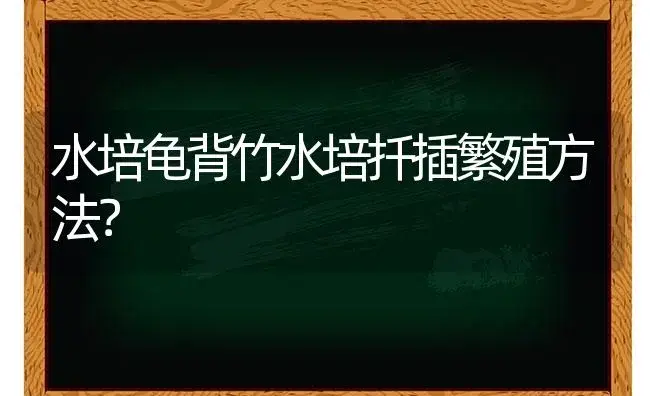 水培龟背竹水培扦插繁殖方法？ | 植物问答