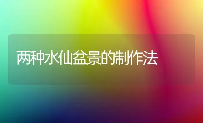 两种水仙盆景的制作法 | 植物知识