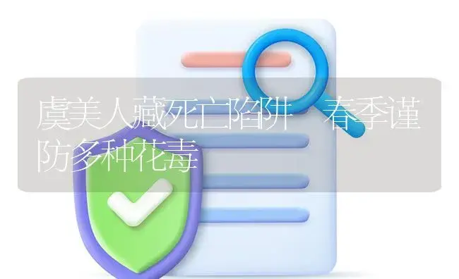 虞美人藏死亡陷阱 春季谨防多种花毒 | 植物知识
