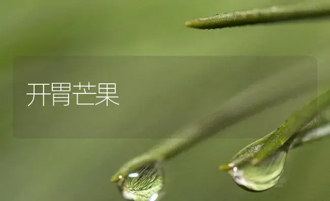 开胃芒果 | 植物百科