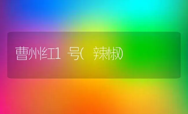 曹州红1号(辣椒) | 植物科普