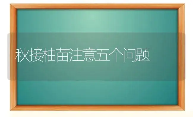秋接柚苗注意五个问题 | 植物科普
