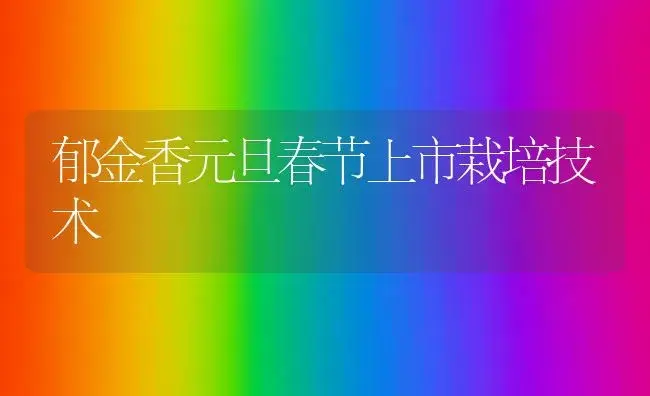 郁金香元旦春节上市栽培技术 | 植物科普