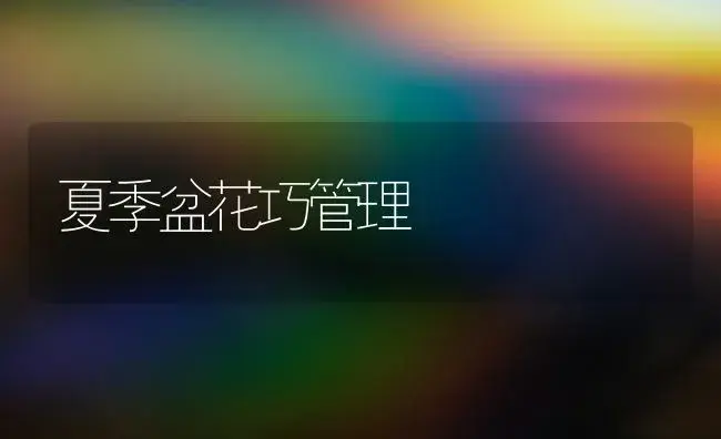 夏季盆花巧管理 | 植物知识