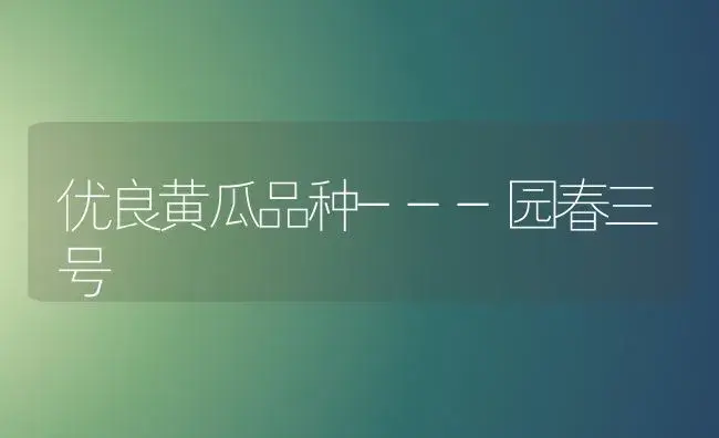 优良黄瓜品种---园春三号 | 植物百科