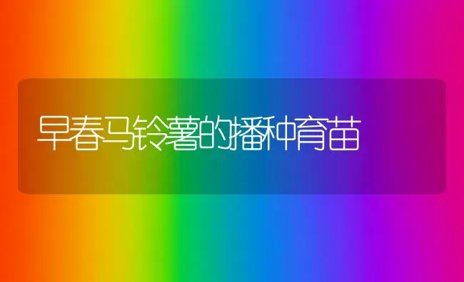 早春马铃薯的播种育苗 | 植物科普