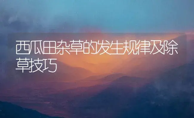 西瓜田杂草的发生规律及除草技巧 | 植物百科