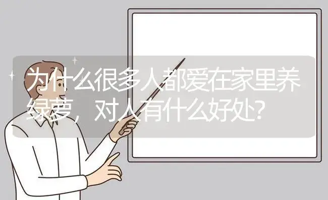 为什么很多人都爱在家里养绿萝，对人有什么好处？ | 植物问答