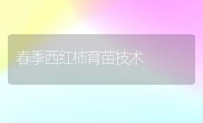 春季西红柿育苗技术 | 植物科普