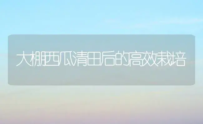 大棚西瓜清田后的高效栽培 | 植物科普