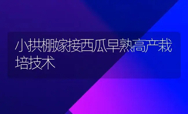 小拱棚嫁接西瓜早熟高产栽培技术 | 植物科普