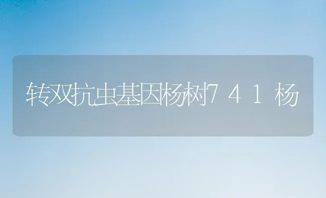 转双抗虫基因杨树741杨 | 植物知识