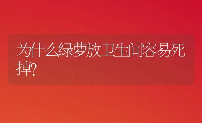 为什么绿萝放卫生间容易死掉？ | 植物问答