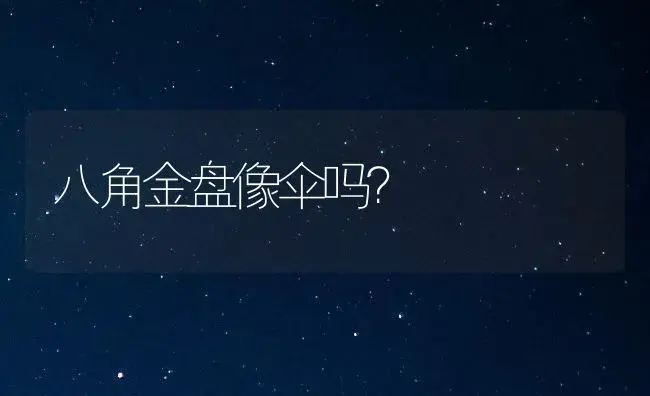 八角金盘像伞吗？ | 植物问答