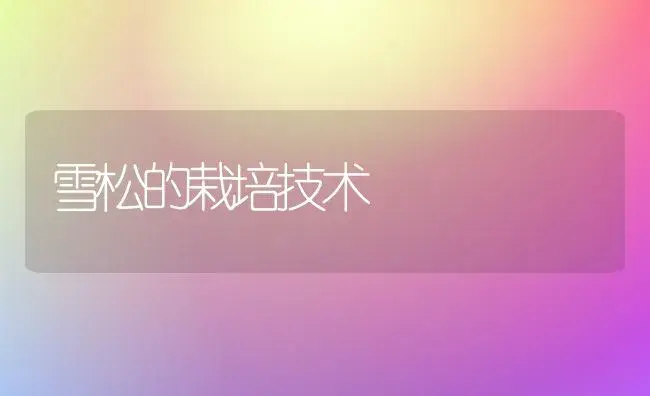 女贞嫁接金叶女贞的方法-花木组培技术 | 植物科普