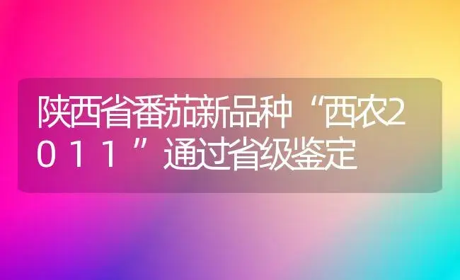 陕西省番茄新品种“西农2011”通过省级鉴定 | 植物百科