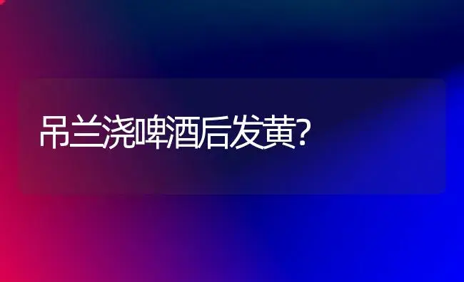 吊兰浇啤酒后发黄？ | 植物问答