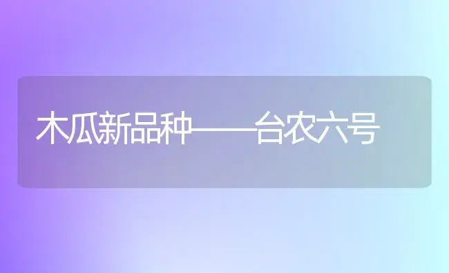 木瓜新品种――台农六号 | 植物科普