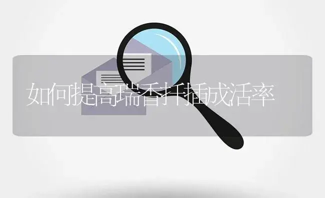 如何提高瑞香扦插成活率 | 植物知识