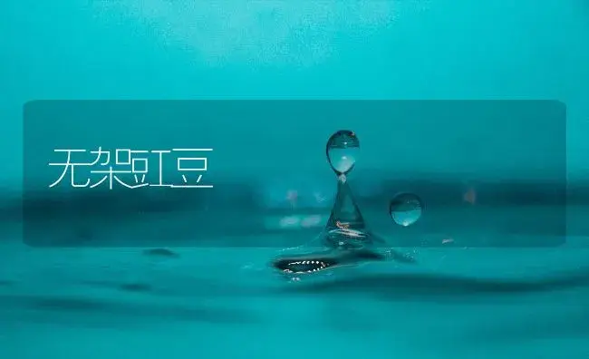 无架豇豆 | 植物百科