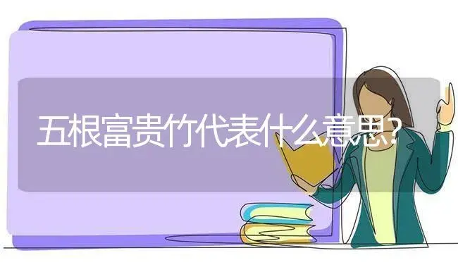 五根富贵竹代表什么意思？ | 植物问答